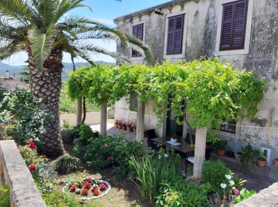 Gardenia House Villa Janjina Ngoại thất bức ảnh
